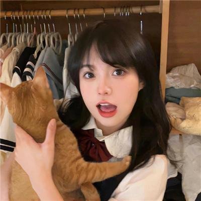 渐动人生封面