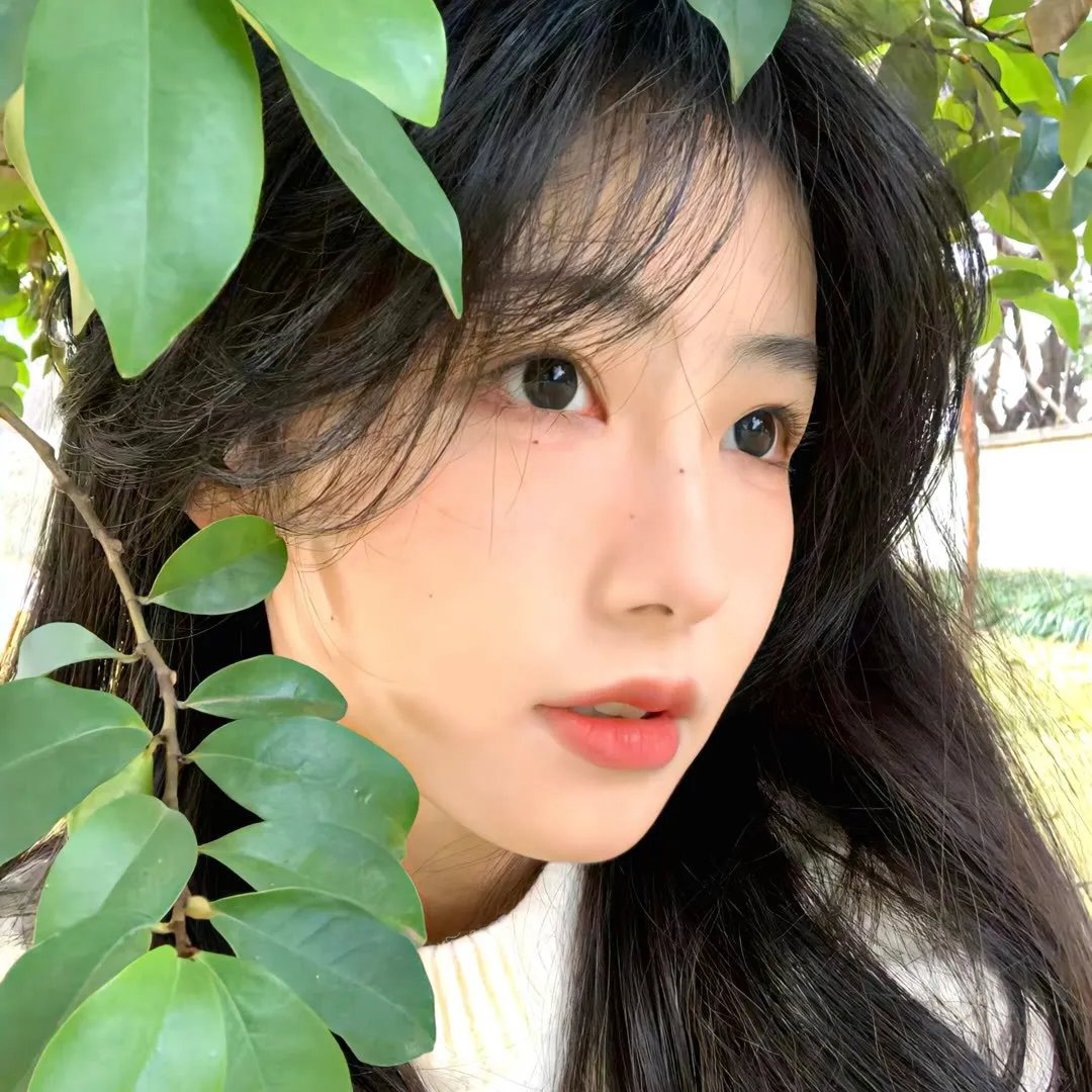 摇滚正当年封面
